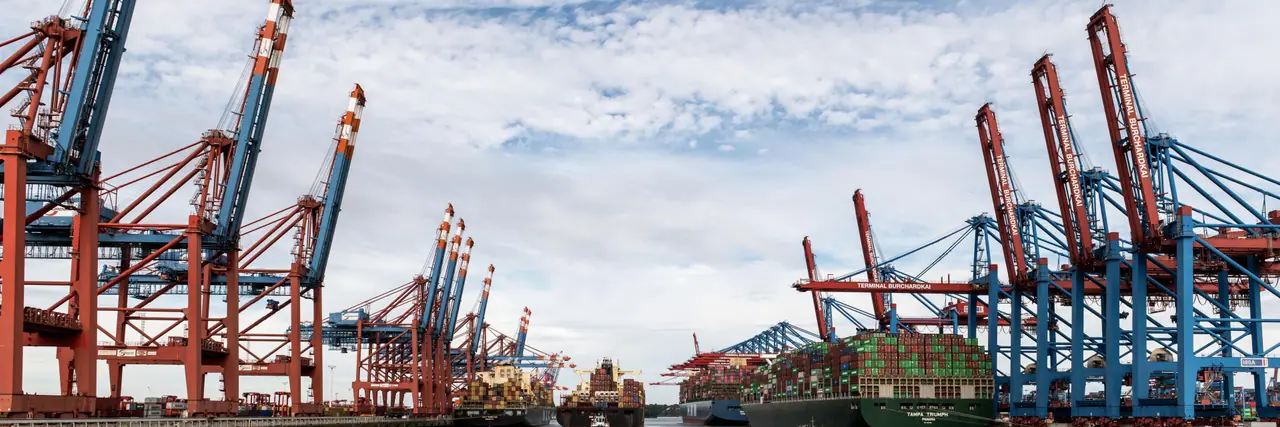 Gantry cranes and container ships along the channel of a working harbour